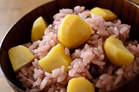 Red chestnutの写真素材