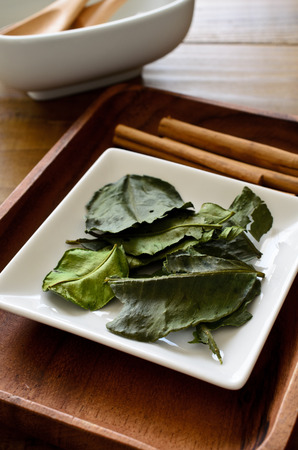 Lime leafの写真素材