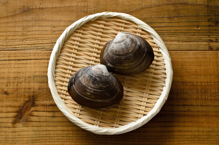 Sakhalin surf clamの写真素材