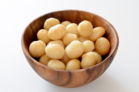 Macadamia nutsの写真素材