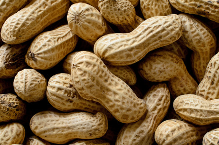 Peanuts