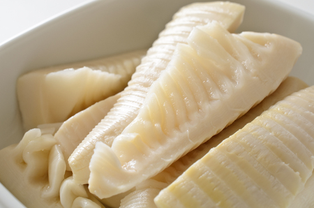Boiled bamboo shootの写真素材