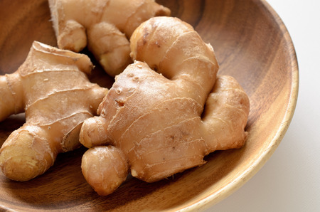 Gingerの写真素材