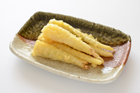 Himetake tempuraの写真素材