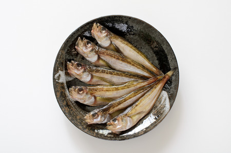 Dried japanese sandfish