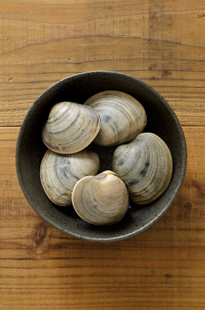 Hard clamの写真素材