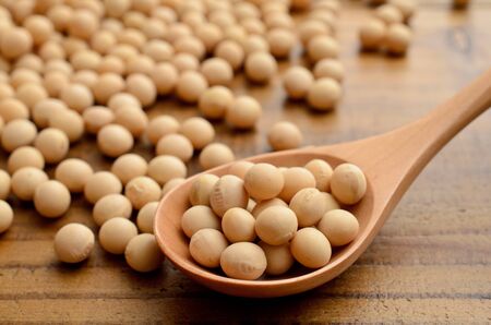 dried yellow soybeansの写真素材