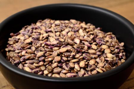 dried pearl barleyの写真素材