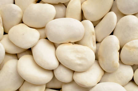 white kidney beansの写真素材