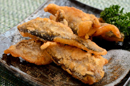 fried sailfin sandfishの写真素材