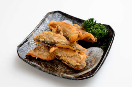 fried sailfin sandfishの写真素材