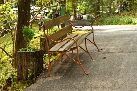 walkway at a public park in the afternoon Bangkokの写真素材