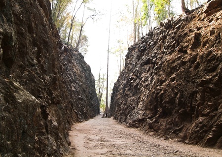 entrance way in the forest Kanchanaburiの写真素材