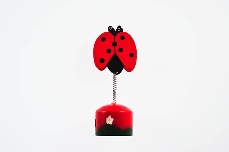 ladybug wooden toy on a white background の写真素材