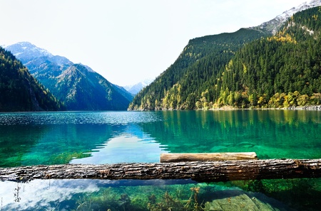 forest and mountain reflecting in a lakeの写真素材