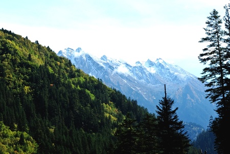 forest and mountain  in Chinaの写真素材