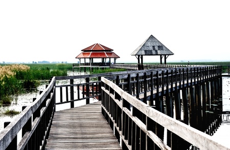 wood bridge at Sam-Roy-Yod Nation park ,Prachuapkhirikhan Province,South of Thailandの写真素材