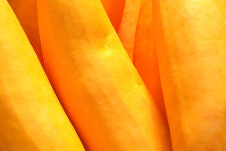 Squashの写真素材