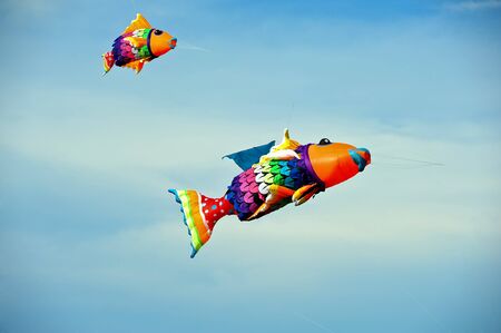 Fish Kites