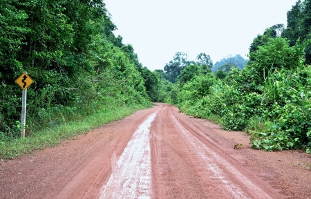 Road in the forest,Thailandの写真素材