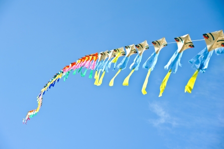 kite flying in the blue skyの写真素材