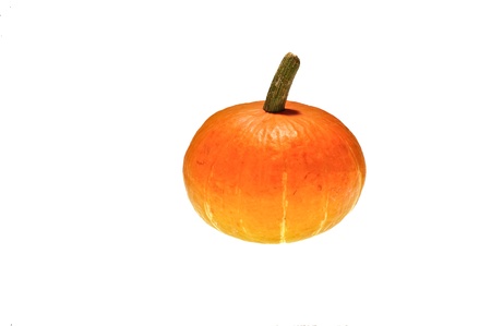 Pumpkin isolated on white backgroundの写真素材
