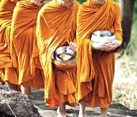 Monkの写真素材