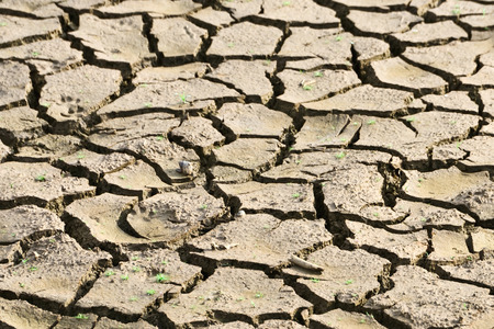 cracked ground texture