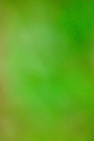 green backgroundの写真素材