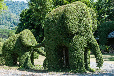 tree pruning is a big elephant in the gardenの写真素材