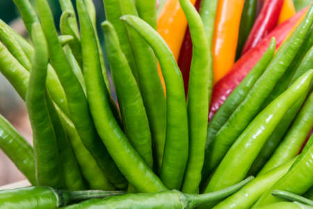 green and red hot chili peppers at the marketの写真素材
