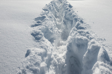 footstep on the snow in flat area