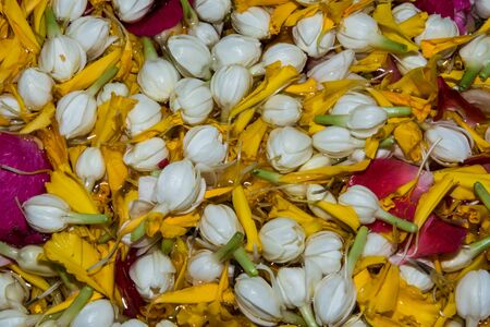 the water mixes the petal use in Songkran festival of Thailandの写真素材