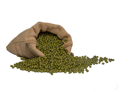 bean in a sack isolatedの写真素材