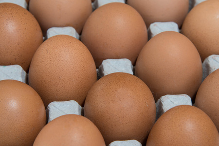 Egg, Chicken Eggの写真素材