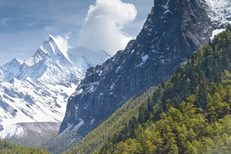 Mountain landscape with snow-capped peaks and coniferous forest