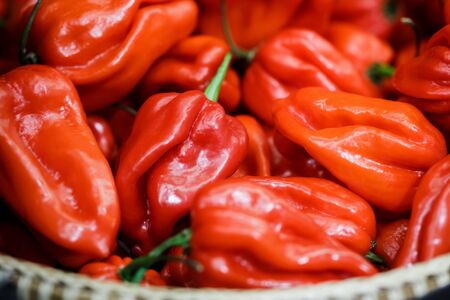 close up red habanero peppers in basketの写真素材