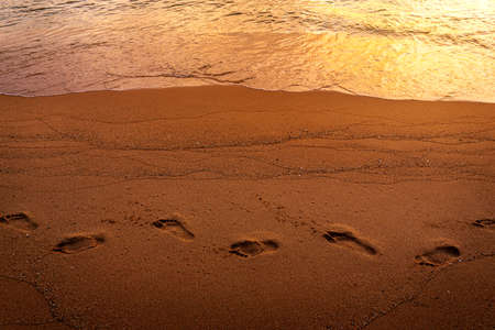 Footprints on sand beach at morningの写真素材