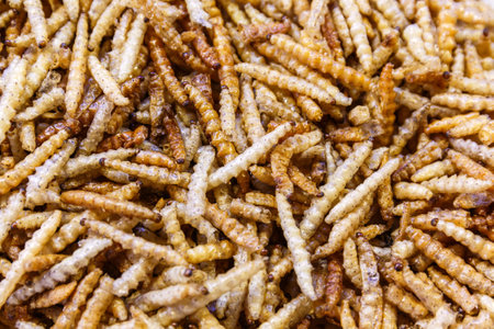 close-up crispy fried bamboo wormの写真素材