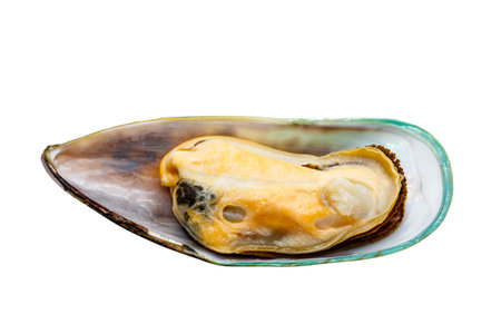 New Zealand Mussels isolated on white backgroundの写真素材