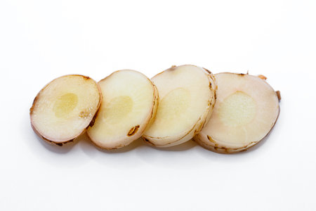 Fresh young galangal root isolated on white background, Alpinia galangaの写真素材