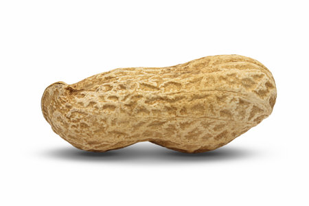 roasted dry Groundnut or peanuts isolated on white background