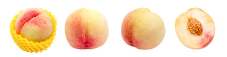japanese peach isolated on white backgroundの写真素材
