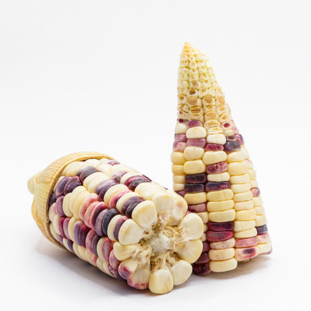 close up fancy Waxy corn on white backgroundの写真素材
