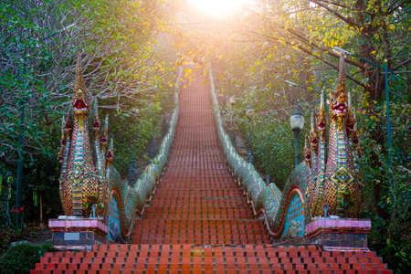 Head Naga Stairway at  Doi Suthep Temple at morning, Chiang mai, Thailandの写真素材