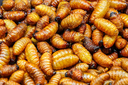fried Red palm weevil worm in thai street food marketの写真素材