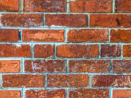 red brick wallの写真素材