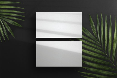 Clean minimal business card mockup Vol 2. PSD file.の写真素材