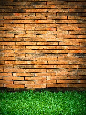 Old Brick Wall and New Green Grass verticalの写真素材