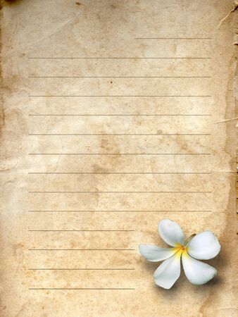old grunge letter paper white flower printの写真素材